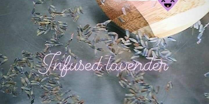 Dogsbody NI Water Bowl